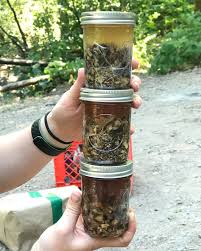 Attēlu rezultāti vaicājumam “Listera cordata fruit”