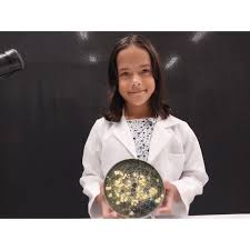 Attēlu rezultāti vaicājumam “Physarum nitens young”