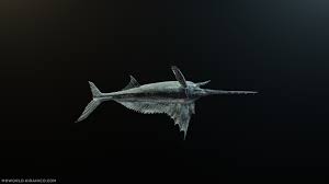 Image result for Xiphias gladius