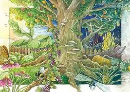 Image result for Neuseeländer Salat