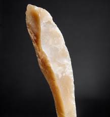 Image result for feuille-laurier-silex