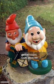 Image result for Gartenzwerg