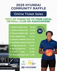 Image result for Genesis Netball Club