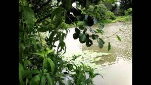 Image result for Henlow Cc