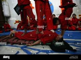 Image result for Dragon Wushu Club