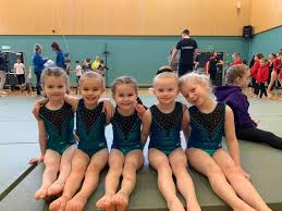 Image result for West Lothian Artistic Gymnastic Club