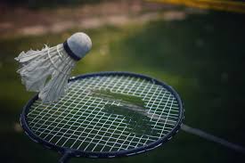 Image result for Beginners and Intermediate Badminton
