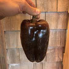 Afbeeldingsresultaat voor chocolate beauty sweet pepper