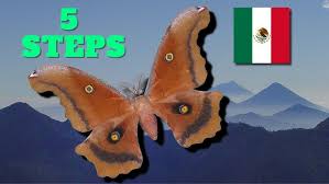 Attēlu rezultāti vaicājumam “Cossus cossus”