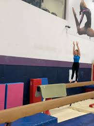 Image result for Arabian School Of Gymnastics, Milton Keynes