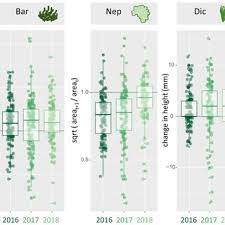 Attēlu rezultāti vaicājumam “Barbilophozia lycopodioides”