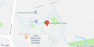 Image result for York University Dodgeball Club
