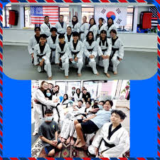 Image result for New Milton Taekwondo Club