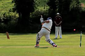 Image result for Porthleven Cricket Club