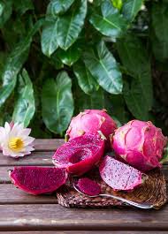 Attēlu rezultāti vaicājumam “Carex dioica fruit”