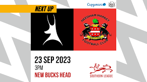 Image result for Needham Market Football Club