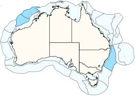 Image result for Eumegistus illustris