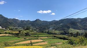 Image result for tanada