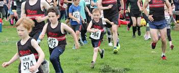 Image result for Abbey Runners
