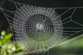 Image result for web patterns