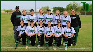 Image result for Dragons Softball Club