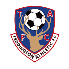 Image result for Caterham Pumas Fc