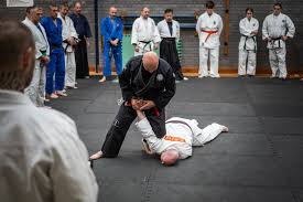 Image result for Malvern Taijutsu Kai Self Defence