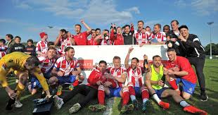 Image result for Dorking Football Club Limited