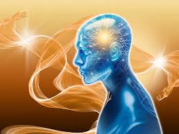 Image result for consciousness