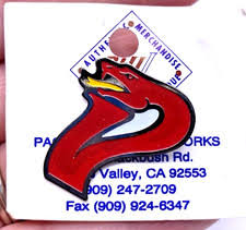 Image result for Vipers Roller Hockey Team