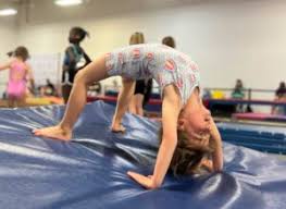 Image result for Lincoln Gymnastics Club