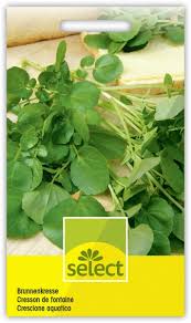 Image result for Brunnenkresse