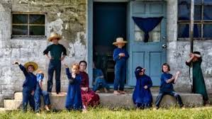 Image result for amish dress