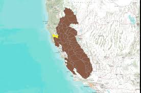 Image result for Ptychocheilus grandis