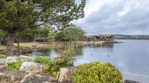 Image result for Pine Lake Watersports - Lancashire