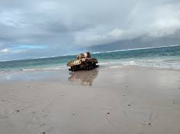 Image result for culebra beach tank