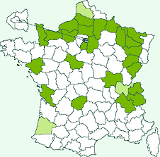 Attēlu rezultāti vaicājumam “Hypenodes humidalis”