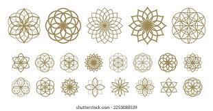 Image result for life flower