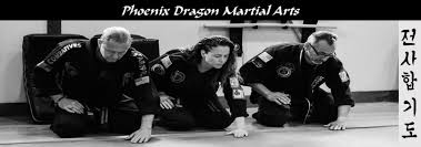 Image result for Phoenix Martial Arts