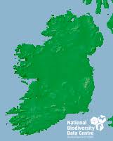 Attēlu rezultāti vaicājumam “Craterium leucocephalum var. scyphoides”