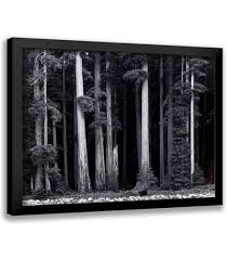 Image result for Ansel Adams Aspens New Mexico