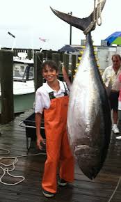 Image result for Thunnus obesus