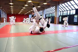 Image result for Sneyd Judo Club