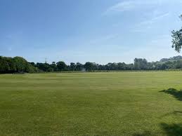 Image result for Ivybridge Cricket Club