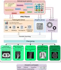 Image result for backmodel terzi