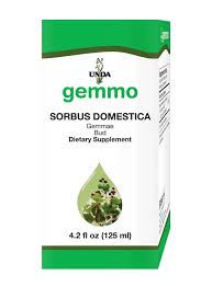 Attēlu rezultāti vaicājumam “Sorbus”