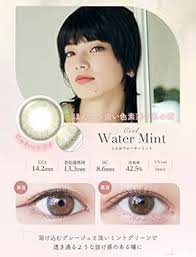 「ネオサイトワンデーシエル」の画像検索結果