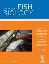 Image result for Gymnura natalensis