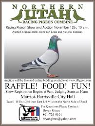 Image result for Abbeyton & Broomfield Racing Pigeons