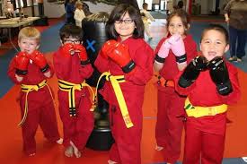 Image result for Vision Martial Arts